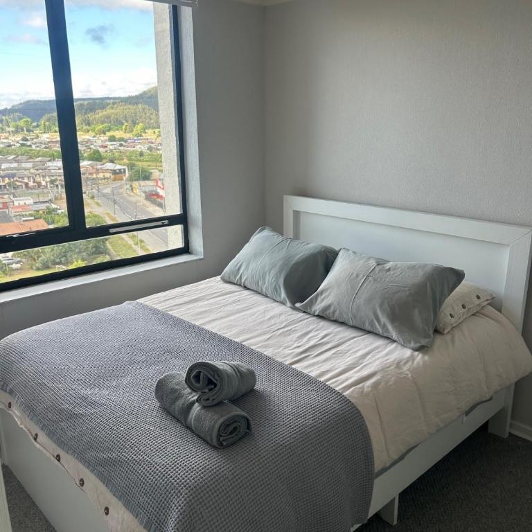 Alojamiento Concepción - Two-Bedroom Apartment - 8