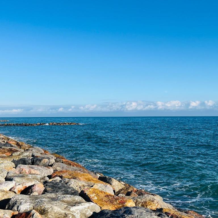 T2 à 200m de la plage avec parking, animaux admis - FR-1-309-474 - Appartement - 19