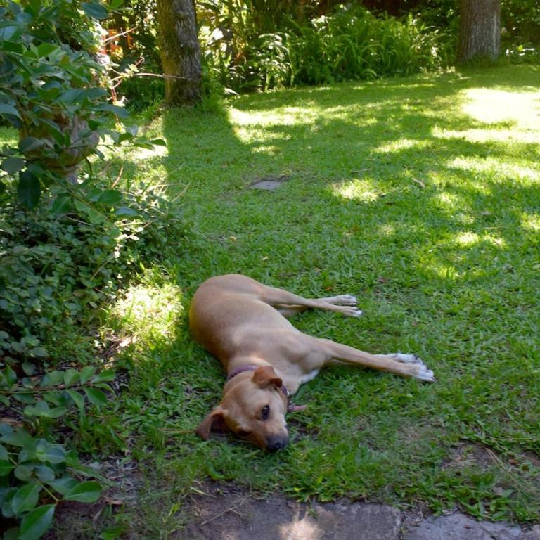 Family home in Las Delicias, garden and barbecue - Casa de 4 dormitorios - 9