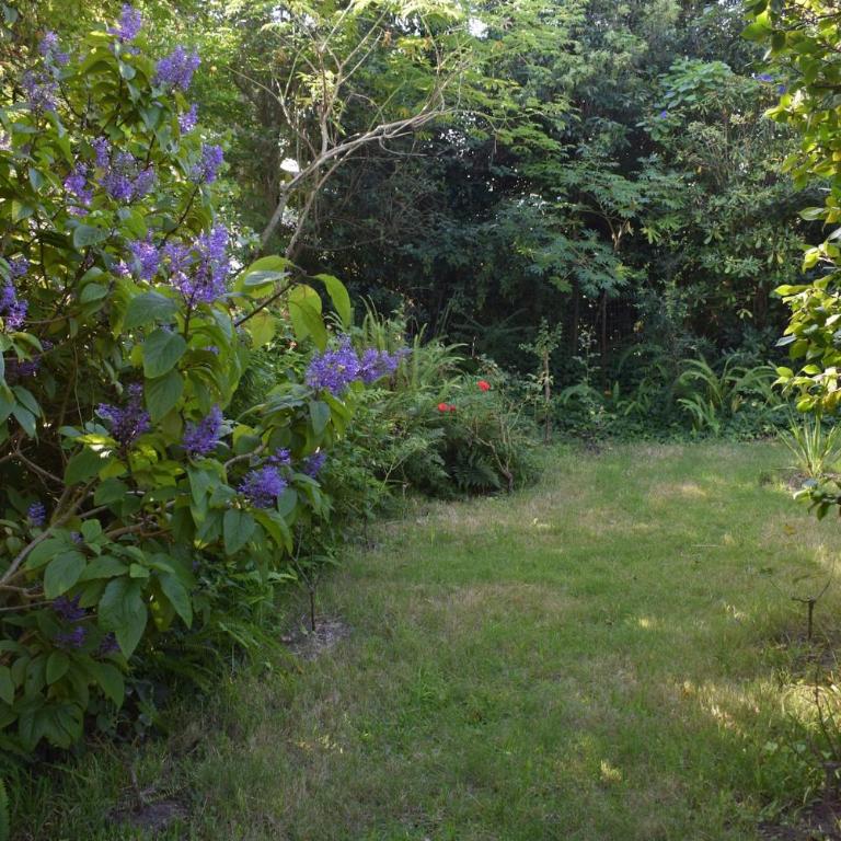 Family home in Las Delicias, garden and barbecue - Casa de 4 dormitorios - 17