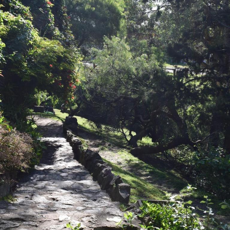 Family home in Las Delicias, garden and barbecue - Casa de 4 dormitorios - 44