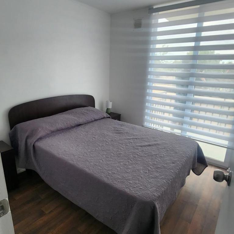 Arriendo Dpto Amoblado Chillán - Apartamento de 2 dormitorios - 10