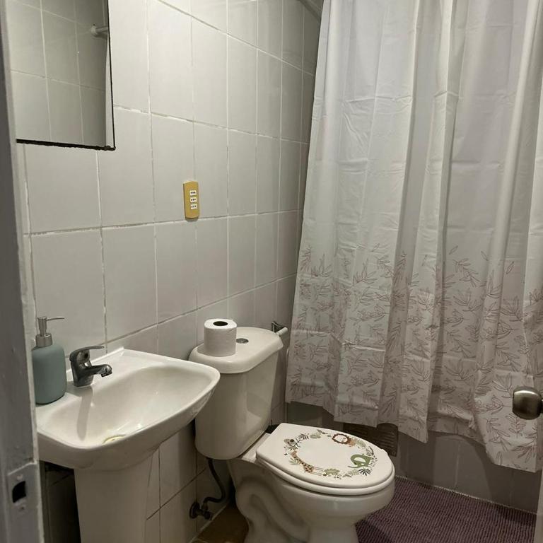 COMODO Y AMPLIO DEPARTAMENTO, Temuco - Three-Bedroom Apartment - 10