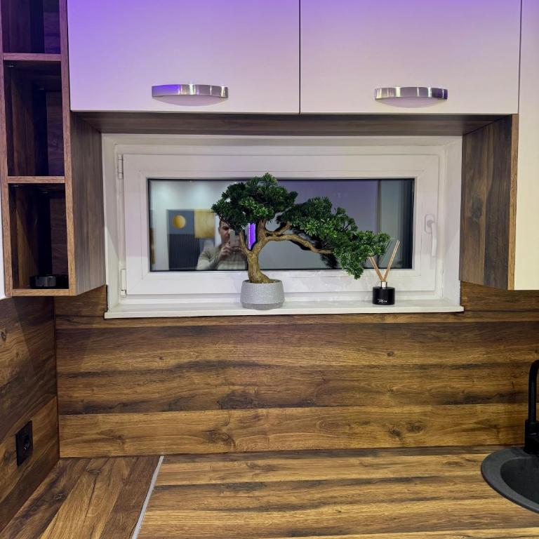 Jelena Apartments - One-Bedroom Apartment - 9