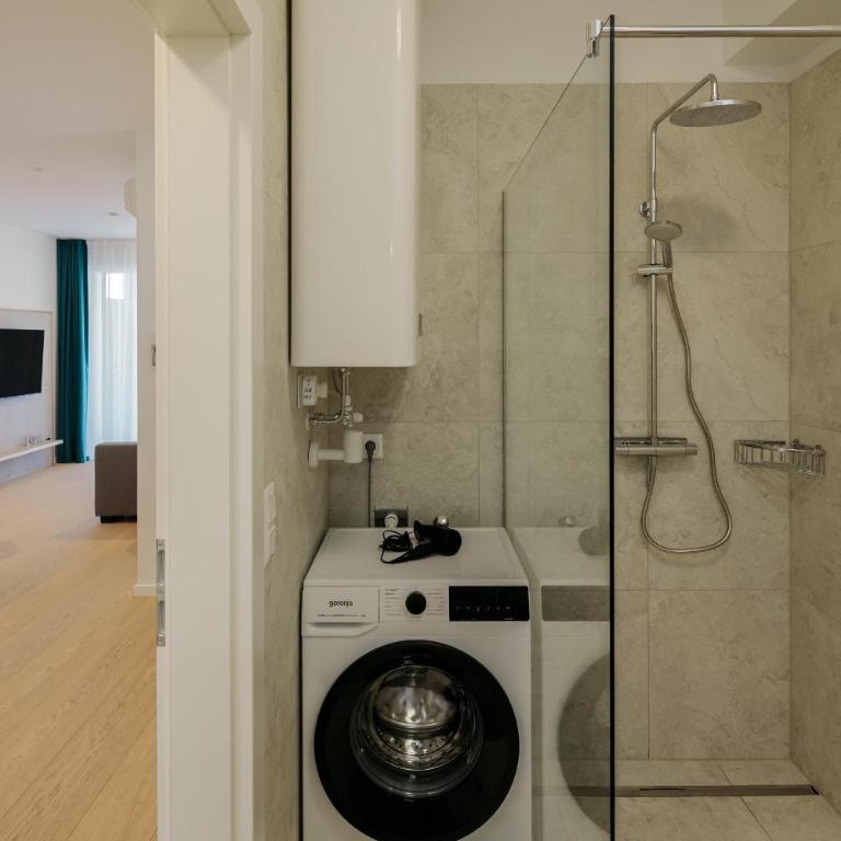 Lakeview Apartment - Apartment mit 1 Schlafzimmer - 11