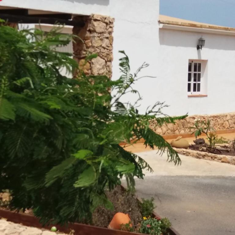 Casa Elsa - Apartamento con vistas a la piscina - 18