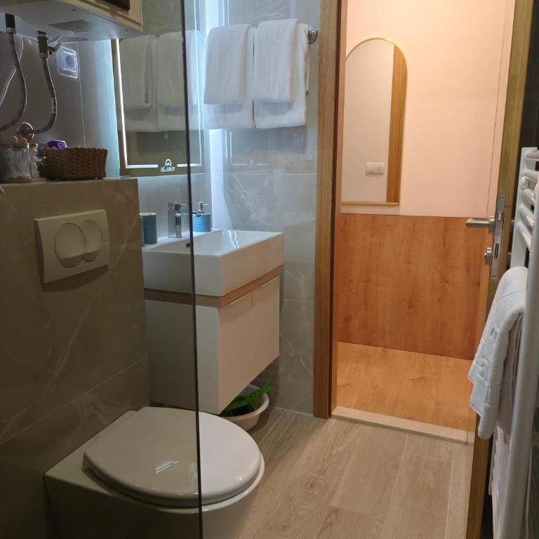 Vila Jahor Apartman Casa 4 - Apartman sa 1 Spavaćom Sobom - 32