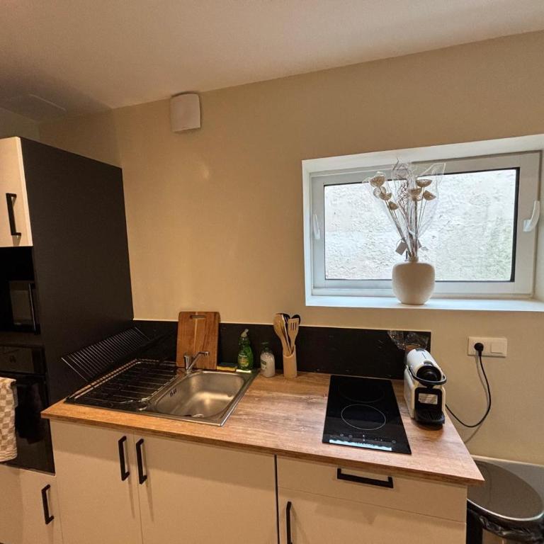 Maison de standing au centre de Reims 7 chambres avec 7 salles de bain, sauna, cour privée - Appartamento Superior con Sauna - 5