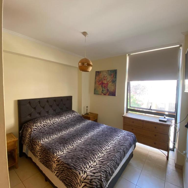Departamento céntrico - Apartamento de 3 dormitorios - 19