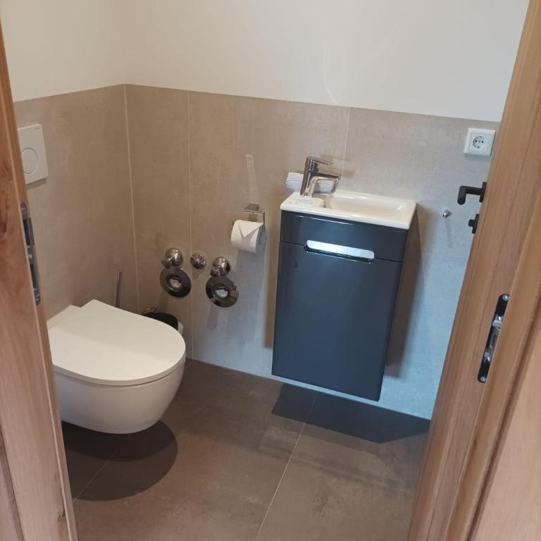 Haus Zum Wilden Kaiser - Apartment mit 1 Schlafzimmer und Dusche - 6