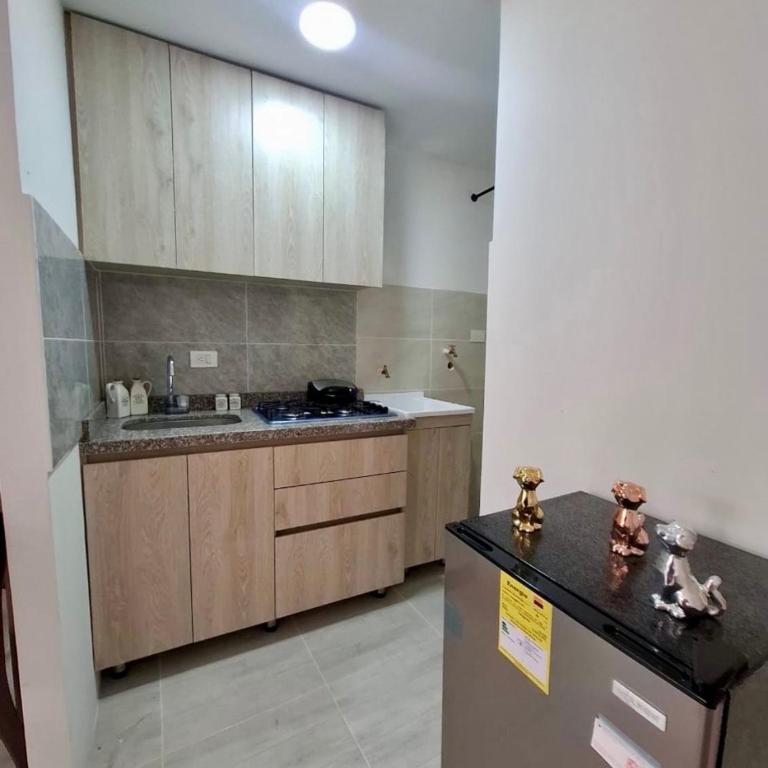 Acogedor apartamento en Ibague, central y nuevo - Apartamento de 1 dormitorio - 9