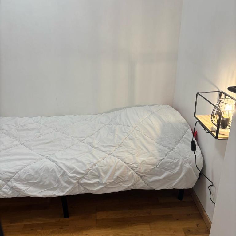 Appartement agréable à deux pas du plan d'eau - Appartement - 31