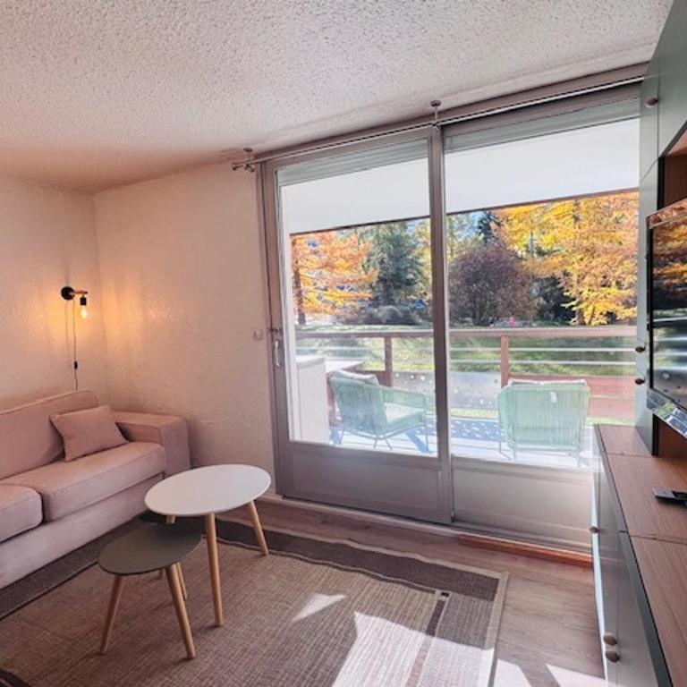Studio idéal pour 4, au pied des pistes avec grande terrasse - FR-1-546-54 - Studio - 6
