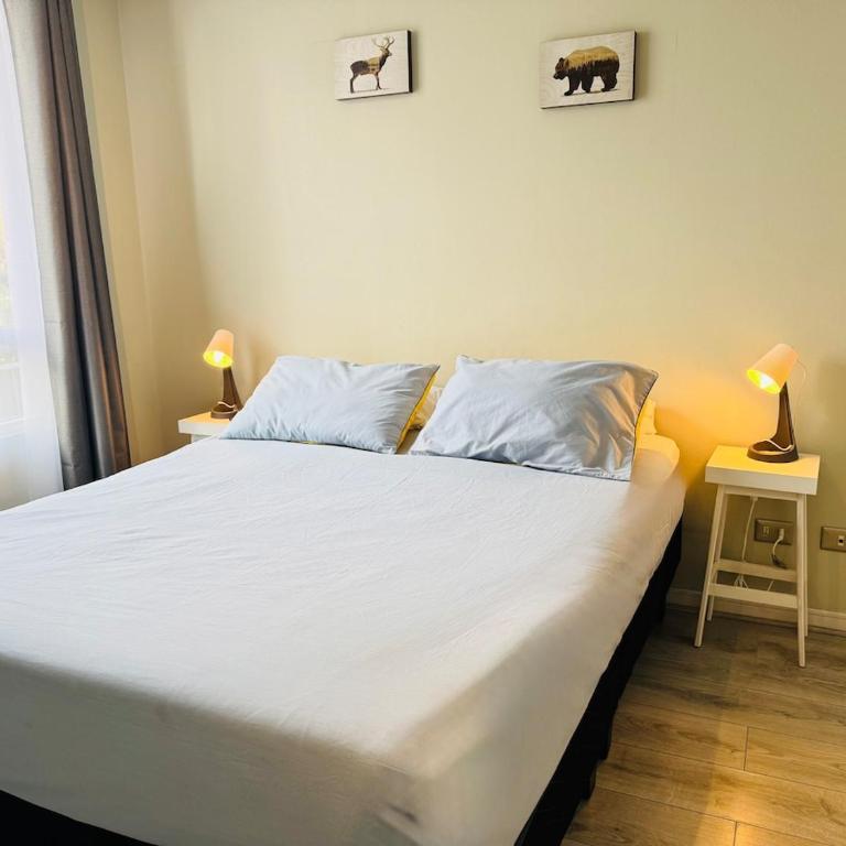 Bicentenario La Florida - Metro - Two-Bedroom Apartment - 1