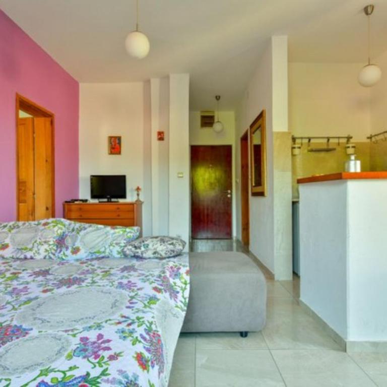 Villa Marković 2 - Apartman sa 1 Spavaćom Sobom - 1