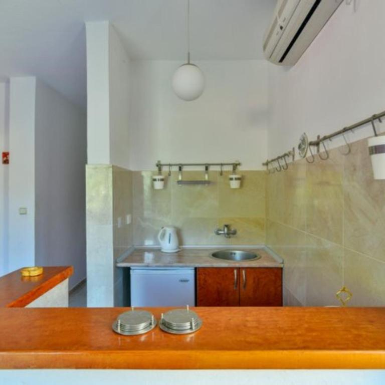 Villa Marković 2 - Apartman sa 1 Spavaćom Sobom - 5