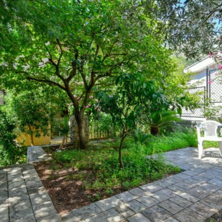 Villa Marković 2 - Apartman sa 1 Spavaćom Sobom - 6
