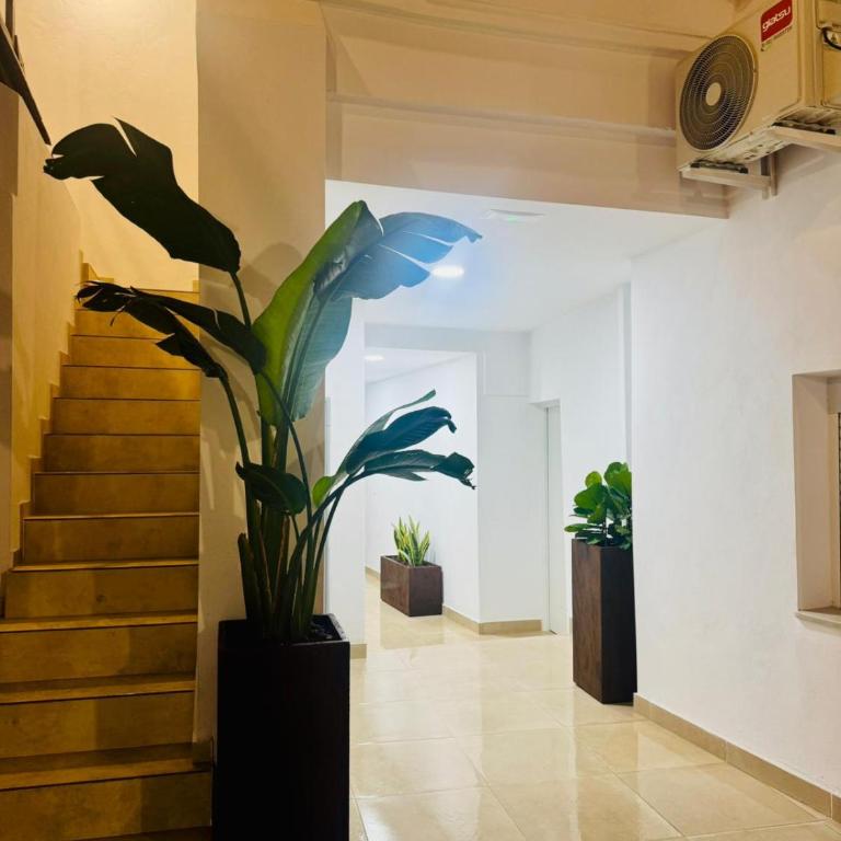 El Olivar de Sol - Apartamento de 2 dormitorios con balcón - 13