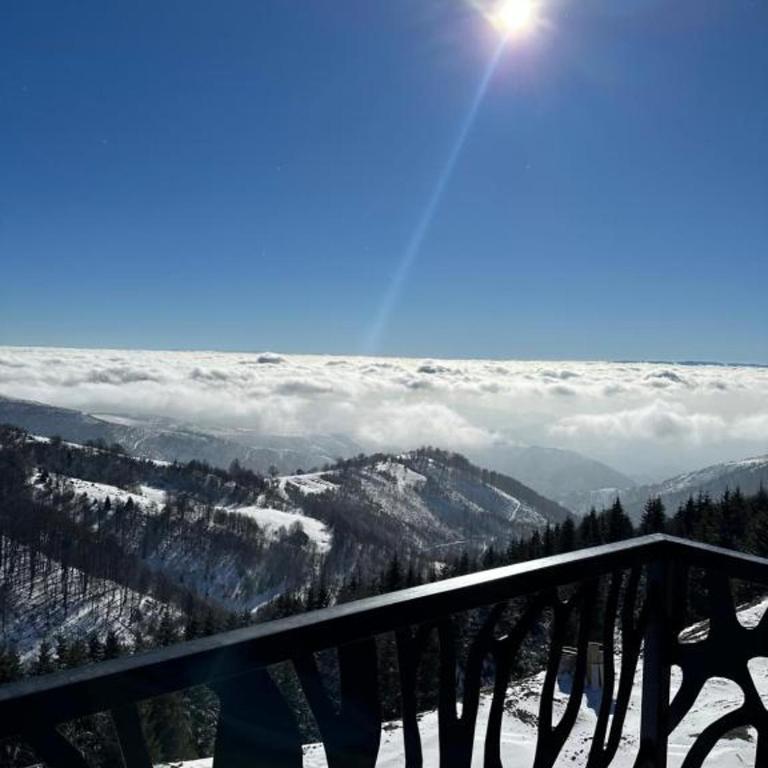 Vila Golija Sky View Kopaonik - One-Bedroom Apartment - 39