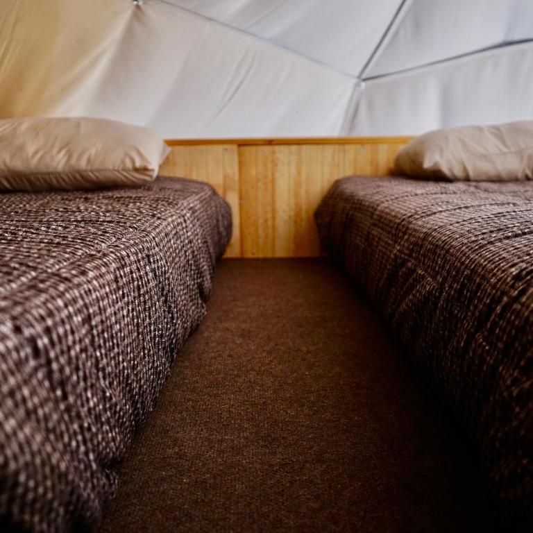 Glamping Domo Tinaja y Piscina Climatizada II - Tent - 17