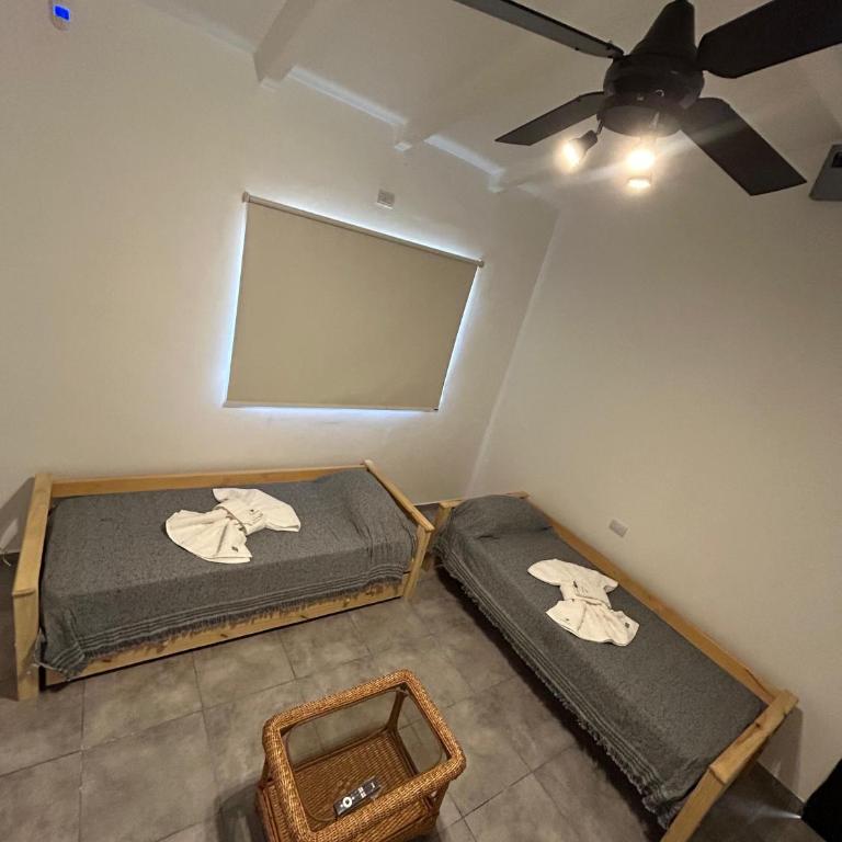 Disfruta casa de bosque a metros de AV San martin y minutos del lago - Casa de 2 dormitorios - 3