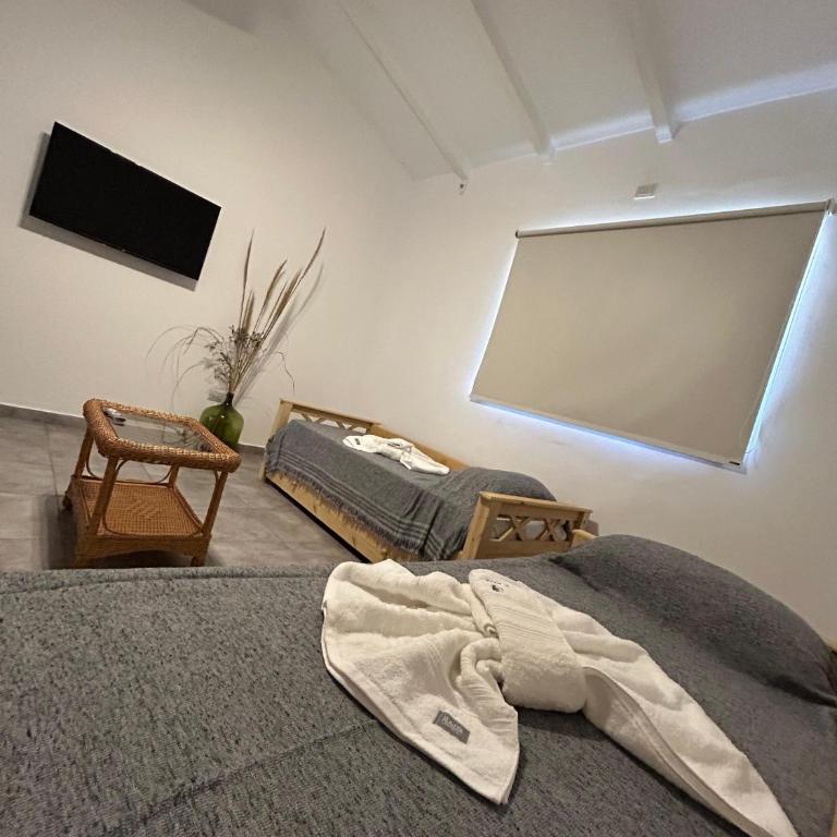 Disfruta casa de bosque a metros de AV San martin y minutos del lago - Casa de 2 dormitorios - 19