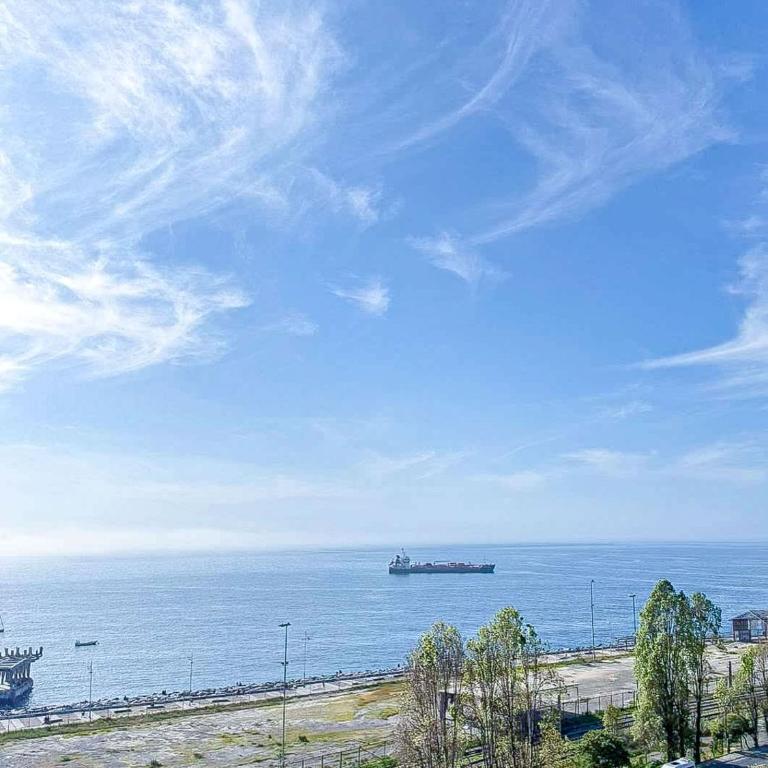 HOM I Estacionamiento I Vista al Mar I Cerro Baron - Apartment - 8