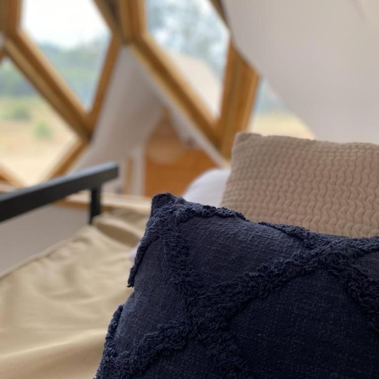 Panilongo Lodge - One-Bedroom Apartment - 40