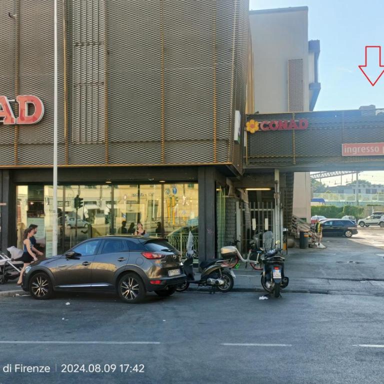 GardenHouseFirenze Familiare a 10 min dal centro,possibilità parcheggio-Careggi - Appartamento - Piano Terra - 30