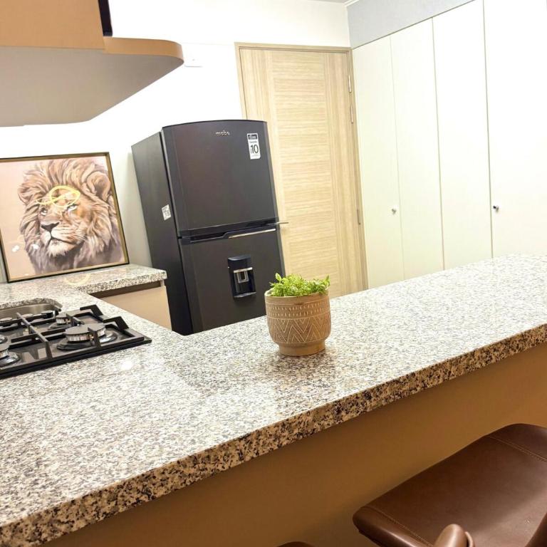 Brand New Apartment - Two-Bedroom Apartment - 18