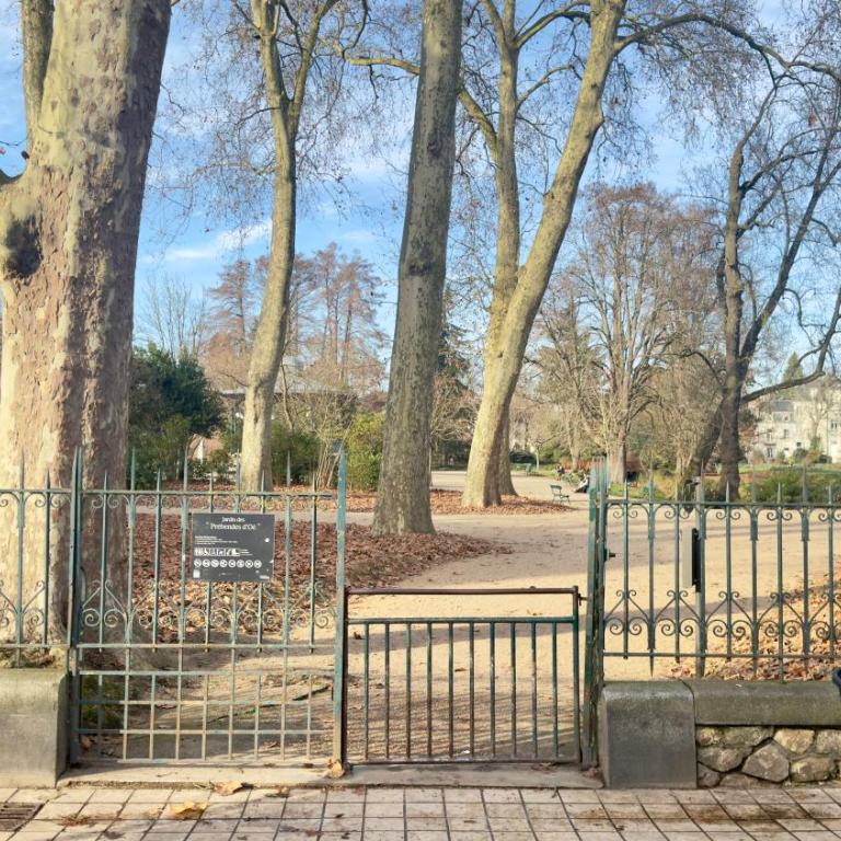 Studio cosy - Quartier Prébendes, Tours centre - Appartamento - 18
