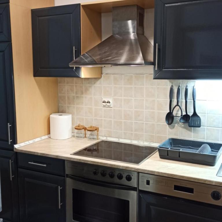 Apartman Trifkovic - Apartman sa 2 Spavaće Sobe - 11