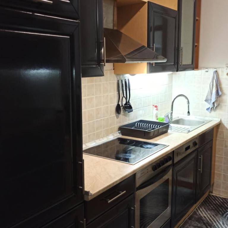 Apartman Trifkovic - Apartman sa 2 Spavaće Sobe - 9
