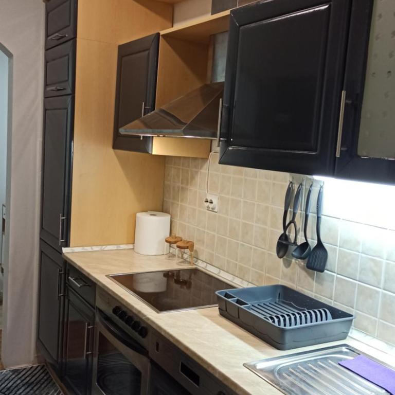 Apartman Trifkovic - Apartman sa 2 Spavaće Sobe - 10