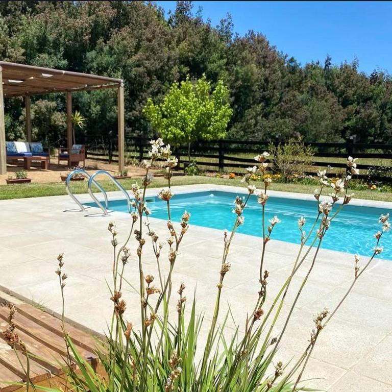 Panilongo Lodge - One-Bedroom Apartment - 46