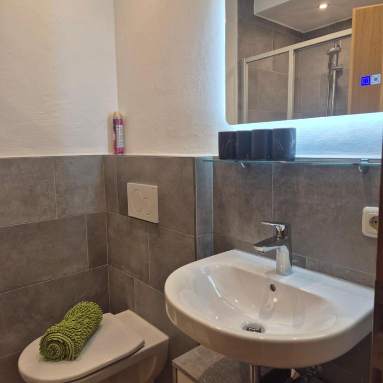 Winklgut Bacher - Apartment mit 1 Schlafzimmer - 1