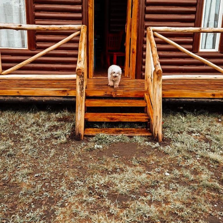 Las Amapolas - One-Bedroom Chalet - 9