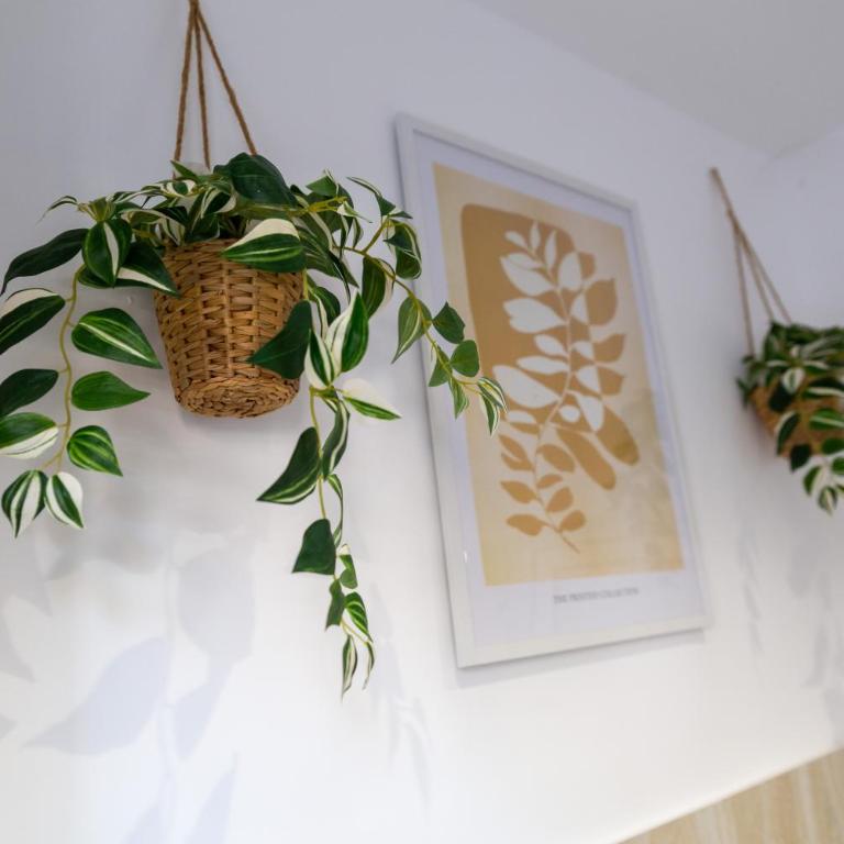 Urban Nest Apartments - One-Bedroom Apartment - 7