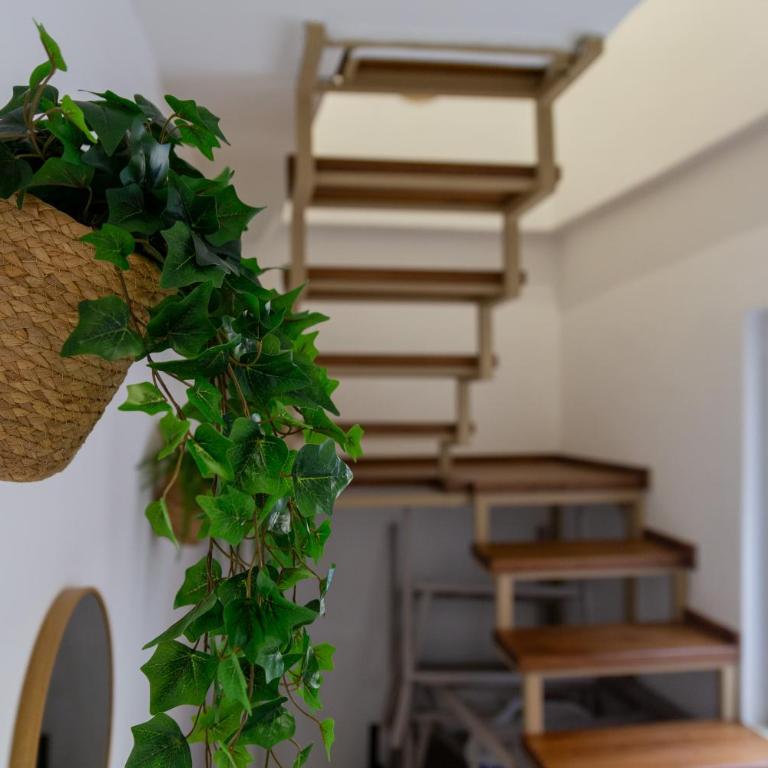 Urban Nest Apartments - One-Bedroom Apartment - 30