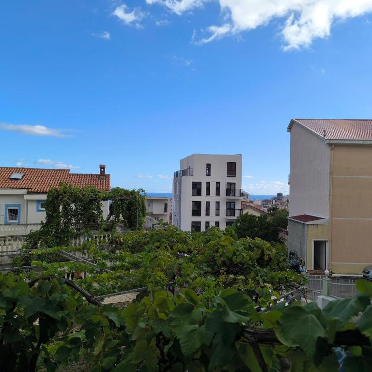 Nar - One-Bedroom Apartment - 3