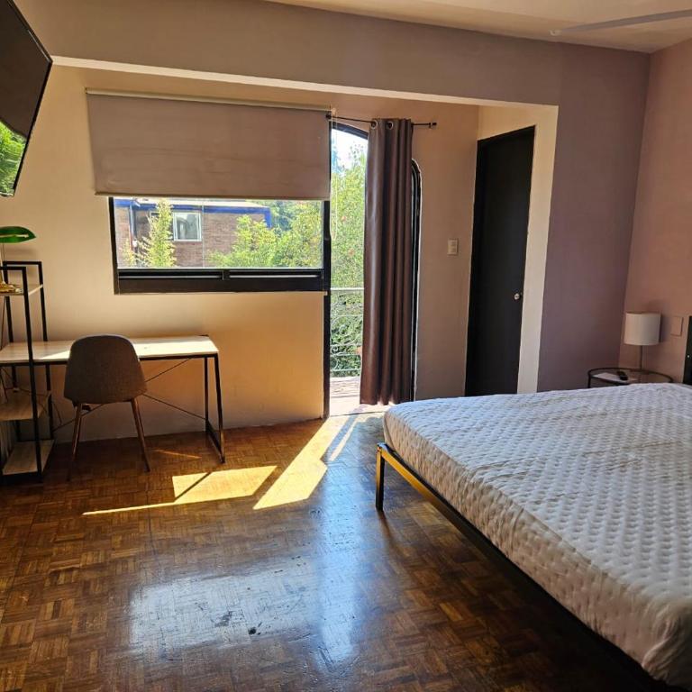 Singular Coyoacán Pepper My Love! - Suite with Balcony - 12