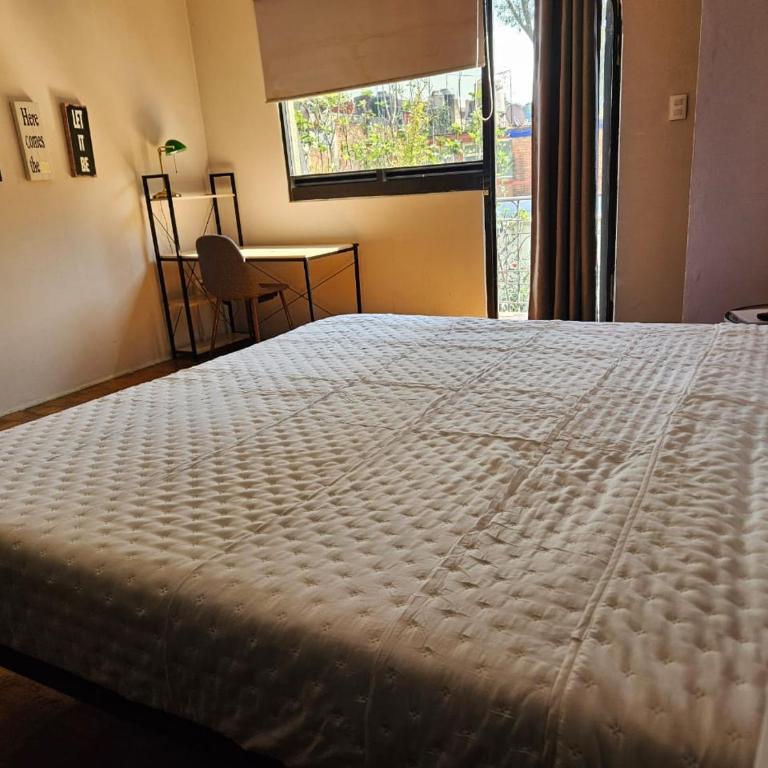Singular Coyoacán Pepper My Love! - Suite with Balcony - 11