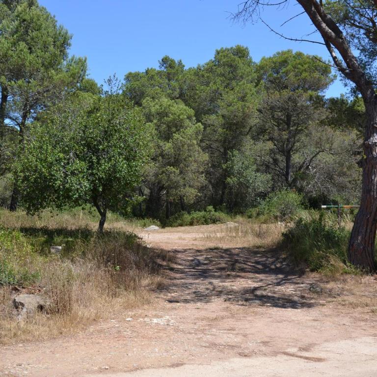 Casa se Aceptan Mascotas Cercana a un Bosque - ES-323-56 - Vacation Home - 25
