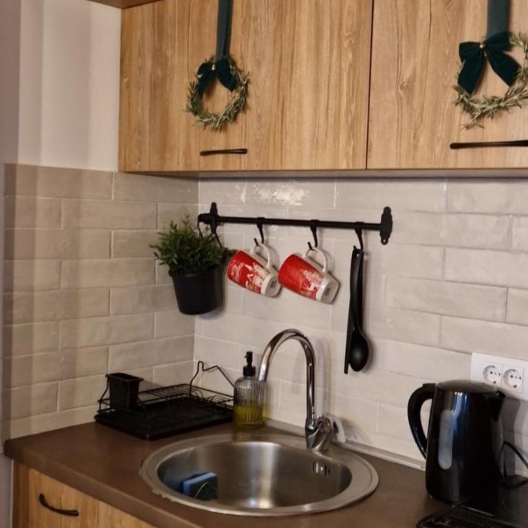 Apartman MonTanja Kopaonik, u hotelu Kraljevi Čardaci - Apartman sa 1 Spavaćom Sobom - 9
