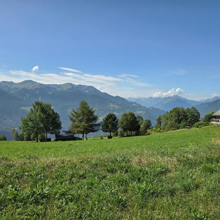 Les Balcons de Valezan - Appartement 3 Chambres - 9