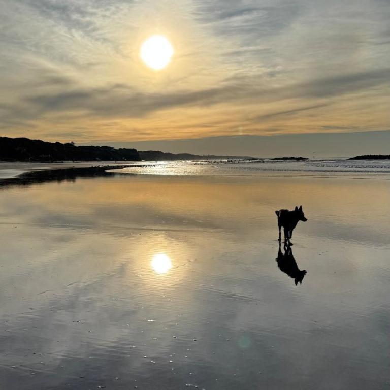 Tiny House 30 meters from the Sea on Cliffs - Casa con 1 dormitorio - 11