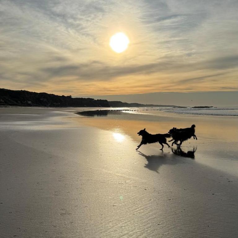 Tiny House 30 meters from the Sea on Cliffs - Casa con 1 dormitorio - 13