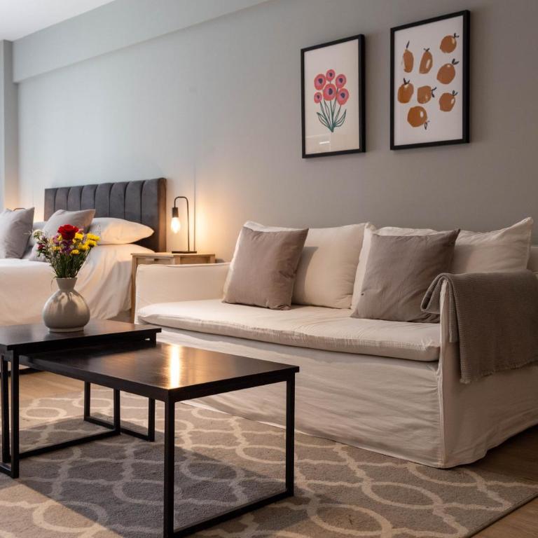 Boldo Amazing Studio - Apartamento de 1 dormitorio - 22