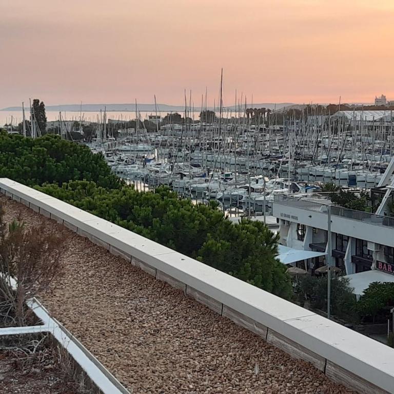2 bedroom apartment plus kitchen, with terrace - Appartamento con 1 Camera da Letto - 1