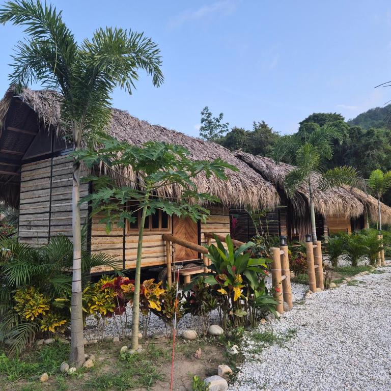 Dos Peladas Hostal - Bed in 4-Bed Dormitory Room - 14